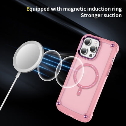 For iPhone 11 Skin Feel TPU + PC MagSafe Magnetic Phone Case(Transparent Pink) - iPhone 11 Cases by buy2fix | Online Shopping UK | buy2fix