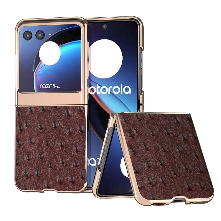 For Motorola Razr 40 Ultra Nano Plating Genuine Leather Ostrich Texture Phone Case(Coffee) - Motorola Cases by buy2fix | Online Shopping UK | buy2fix