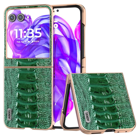 For Motorola Razr 50 ABEEL Electroplating Frame Genuine Leather Weilai Series Phone Case(Green) - Motorola Cases by buy2fix | Online Shopping UK | buy2fix