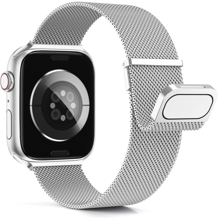 For Apple Watch SE 2022 40mm Milan Double Magnetic Steel Mesh Watch Band(Silver) - Watch Bands by buy2fix | Online Shopping UK | buy2fix