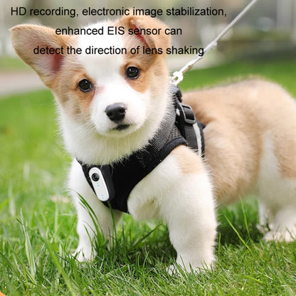 HD Outdoor Portable Pet Recorder Cycling Sports Camera, Specifications: No TF Card - Video Cameras by buy2fix | Online Shopping UK | buy2fix