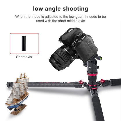 TRIOPO 888 Adjustable Portable Carbon Fiber Tripod with Q-2 Ball Head for SLR Camera, Pipe diameter: 28cm - Camera Accessories by TRIOPO | Online Shopping UK | buy2fix