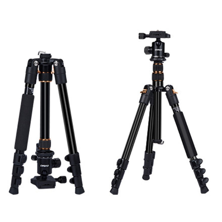 TRIOPO K2508S+B1S Adjustable Portable  Aluminum Alloy Tripod with Ball Head for SLR Camera(Gold) - Camera Accessories by TRIOPO | Online Shopping UK | buy2fix