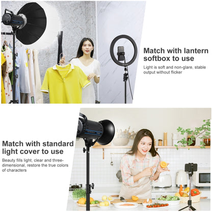 PULUZ 150W 5600K Studio Video Light + 2.8m Light Holder + 65cm Foldable Lantern Softbox Photography Kit(AU Plug) - Shoe Mount Flashes by PULUZ | Online Shopping UK | buy2fix