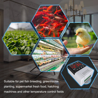 DTC-2201 18B20 Sensor WiFi Intelligent Aquarium Fish Tank Hatch Central Air Conditioning Temperature Controller - Thermostat & Thermometer by buy2fix | Online Shopping UK | buy2fix