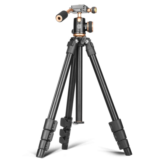 Q160s 4-Section Folding Legs Live Broadcast Aluminum Alloy Tripod Mount with Damping Tripod Ball-Head - Tripods by buy2fix | Online Shopping UK | buy2fix