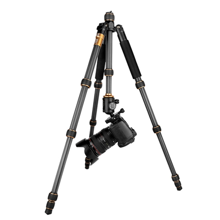 QingZhuangShiDai Q666C Portable Travel Photography Ball Head SLR Camera Carbon Fiber Tripod(Black) - Tripods by QingZhuangShiDai | Online Shopping UK | buy2fix